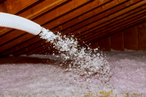 Best Types of Insulation in Corte Madera, CA